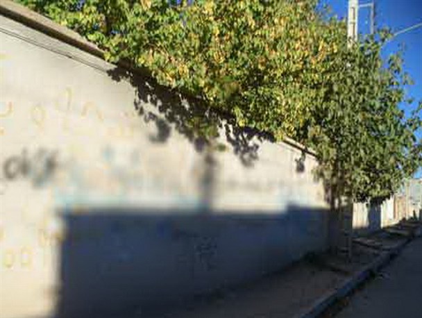 دیوار نویسی ممنوع