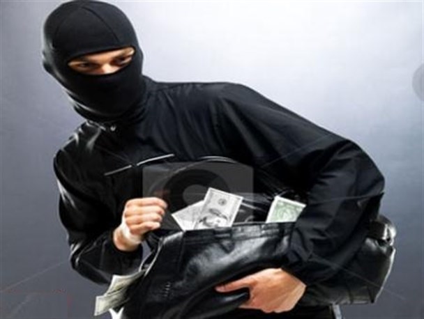 سارقان حرفه ای در شهر اسلام آبادمغان دستگیر شدند