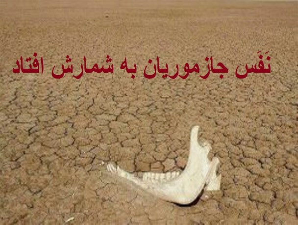 تالاب جازموریان وکیل مدافع و سخنگو ندارد