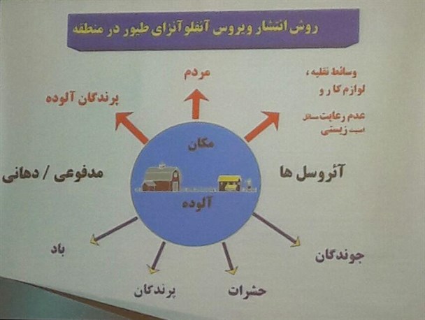 تاکنون مورد انسانی از آنفلوآنزای پرندگان گزارش نشده است