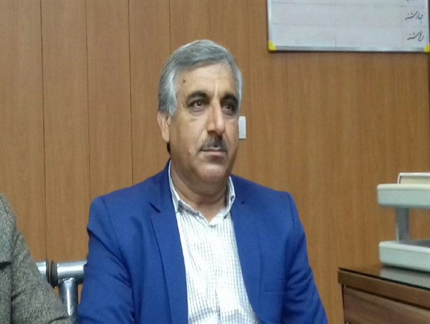 سبزی کاران می توانند از تسهیلات بانکی استفاده کنند/تولید سالانه50هزار تن سبزی در پلدختر