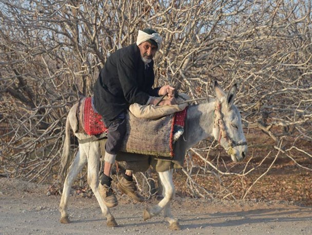تصاویر/ ساده زیستی در اردکان همچنان ادامه دارد