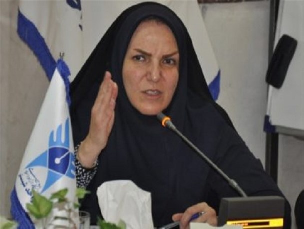 افزایش حامل‌های انرژی در بودجه ۹۷ به صلاح کشور نیست / مالیات ثروتمندان را باید بیشتر کرد