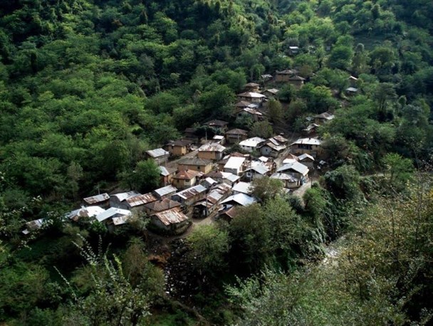 خروج جنگل نشینان سیاهکل از جنگل آری یا نه