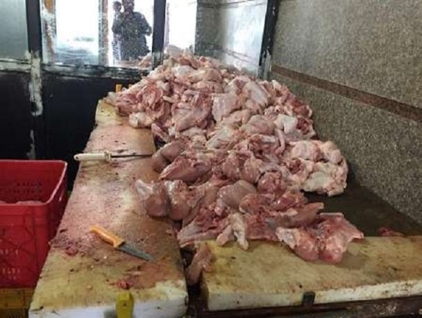 ۶ماه حبس در انتظار مرغ فروش متخلف