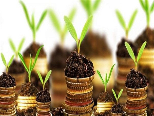 ۶ هزار و ۷۰۰ میلیارد ریال تسهیلات به کشاورزان لرستان پرداخت شد