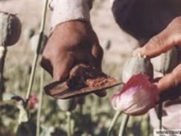 مسئولان باید به فکر ایجاد تفریحات سالم برای نوجوانان باشند/مصرف مواد مخدر خطرناک ترین پدیده جامعه امروزی