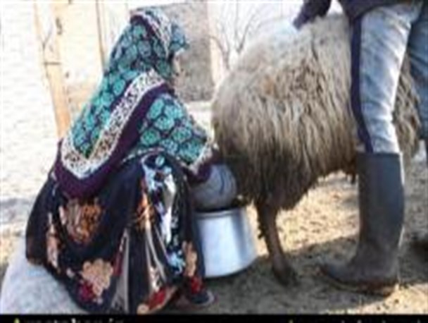 تصاویر/ زندگی به سبک عشایر اصلاندوز مغان