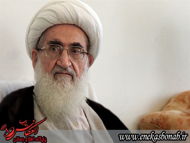 پیام رهبر معظم انقلاب به جوانان غربی بسیار مهم بود/طلاب باید جهت شناساندن اسلام در عرصه مجازی فعالیت کنند