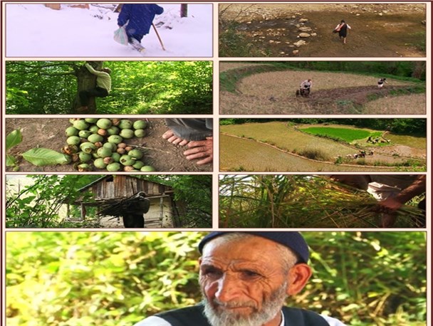 در ماه های آخر سال کشاورزان بشرویه چشم انتظار وعده مسئولان هستند