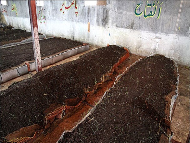 سلامت غذایی کشور در معرض خطر/ کشاورزی سالم با استفاده از کودهای ارگانیک و سموم آلی حاصل می شود