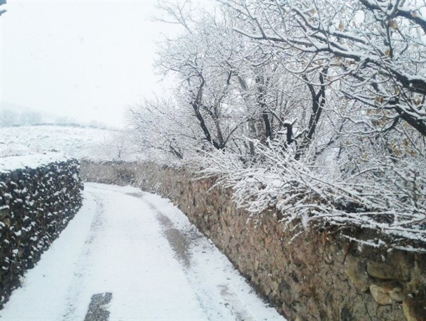بارش برف در قهستان/ تصویری