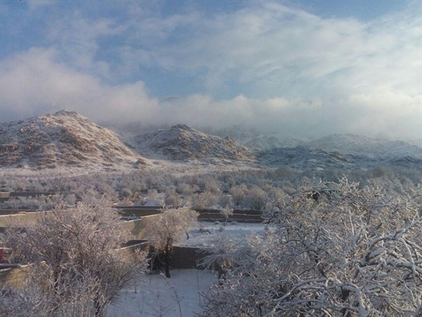 تصاویری از بارش برف در روستای زردین تفت