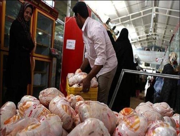 وجود دلالان شبکه ای در بازار همدان /قیمت مرغ اواخر سال افزایش می یابد