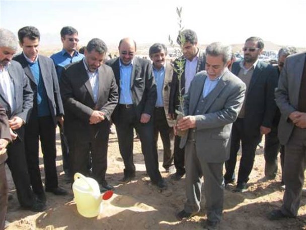 ایجاد ۸۰ هکتار کمربند سبز در حاشیه اشکذر و زارچ