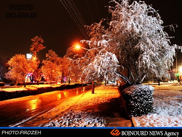 چهره زیبا ازطبیعت برفی شهر بجنورد