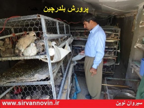 حل مشکلات اقتصادی با تکیه بر توان داخلی امکان پذیر است