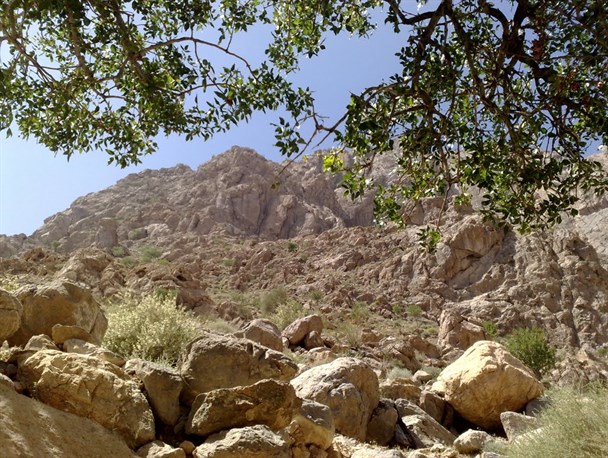 مهرستان آماده پذیرایی از گردشگران نوروزی است