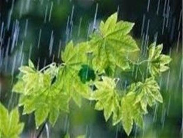 افزایش 68 درصدی میانگین ریزش‌های جوی سرپلذهاب در سال زراعی جاری
