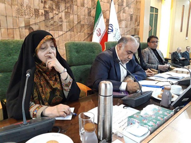 اصرار معاون بانوان رییس جمهور بر ترویج تفکر غربی!