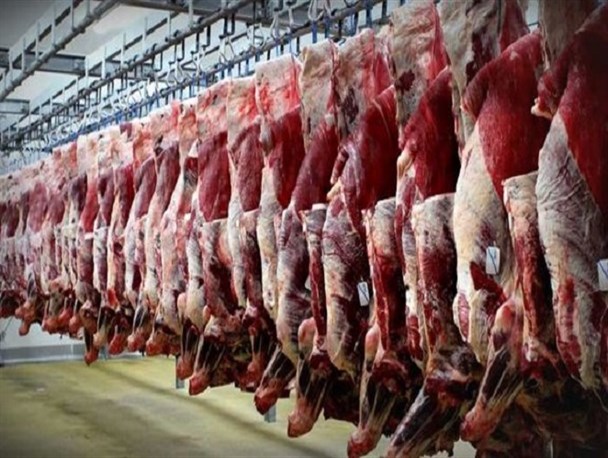 سهم ناچیز اراک از گوشت دولتی/مشکلی در تأمین گوشت نداریم