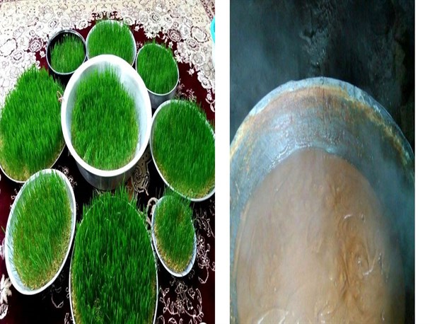آیین سمنو پزان در روستاهای جرگلان خراسان شمالی+تصاویر