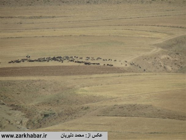 مناطق گردشگری شهرستان زرندیه/طبیعت روستای تیره(2)/عکس