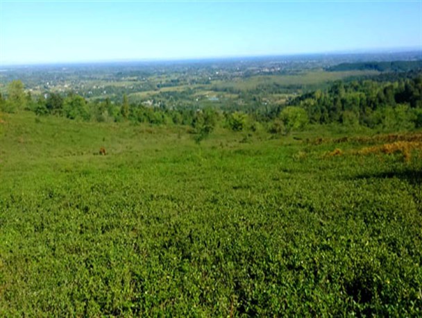 روستای گنجار یکی از مناطق گردشگری شفت