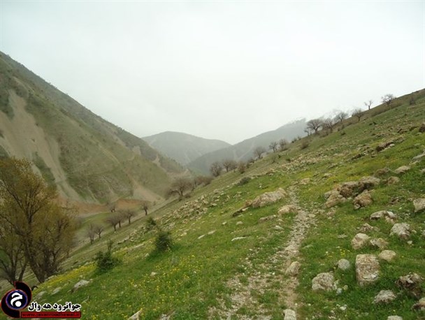 طبیعت بهاری روستای "زیران"