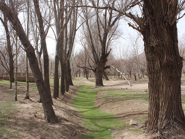 رشتخوار/ دره ییلاقی دریز + تصاویر