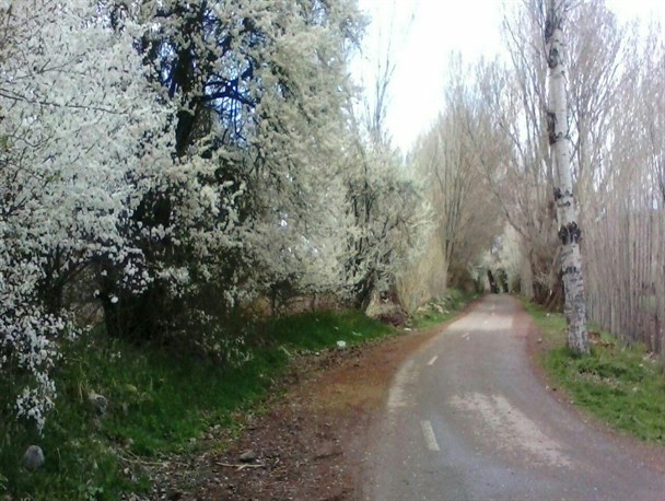 بهشت پنهان در طبیعت روستایی آبرس سراب
