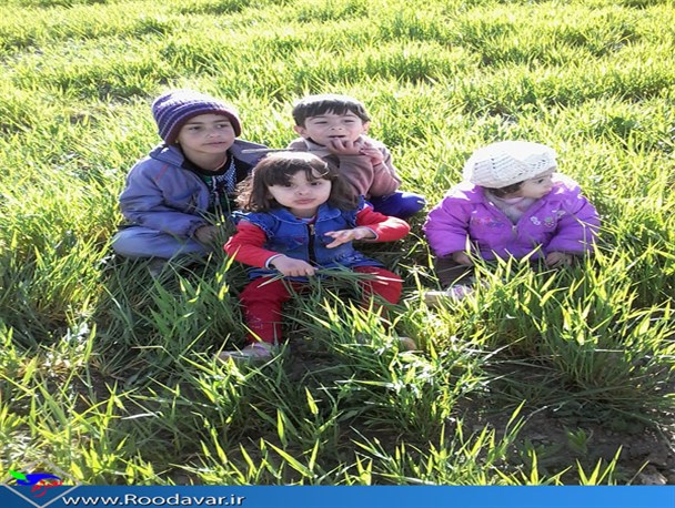 لذت یک روز در طبیعت بودن