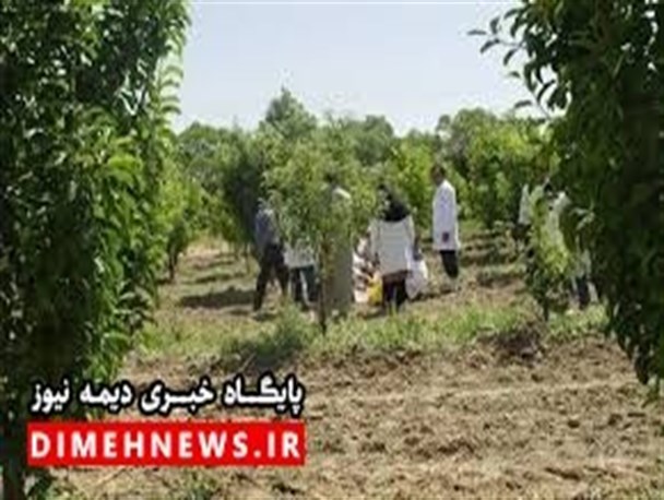 ۲ هزار نفر در نظام مهندسی کارهای کشاورزی شهرستان فیروزکوه عضویت دارند