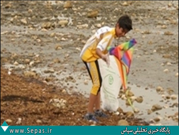 اقدام شهروندان بوشهری به مناسبت هوای پاک