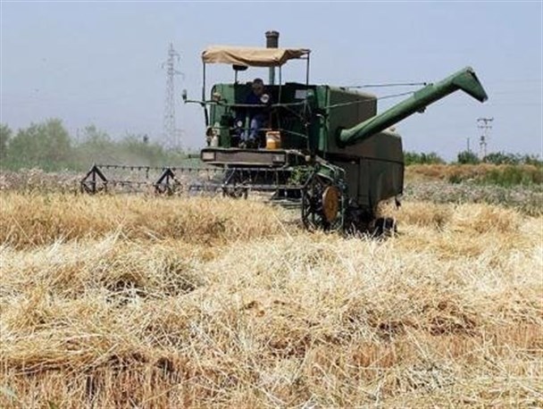 پیش بینی خرید 21 هزار تن گندم از کشاورزان مهرانی