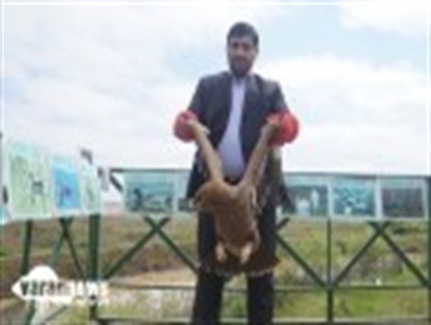 رها سازی دو پرنده شکاری در طبیعت صومعه سرا+تصویر