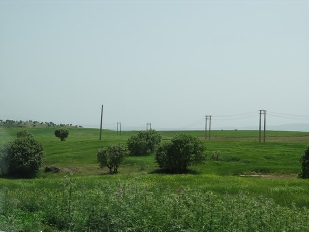 کشاورزی شهرستان چگنی چشم انتظار احداث سد مخزنی تنگ موسی