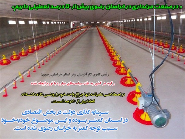 تعطیلی بیش از 50 درصدی در صنعت مرغداری خراسان رضوی