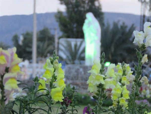 تصاویری زیبا از فضای سبز شهر خنج