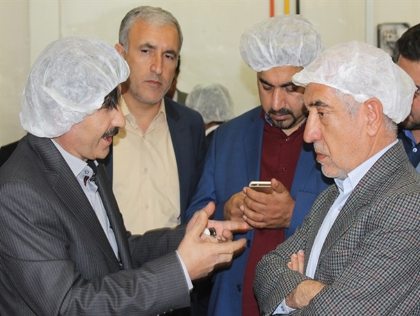 کهگیلویه و بویراحمد نخستین تولیدکننده نان حجیم بلوط در خاورمیانه/تحریم‌ها موجب تقویت ارتباط دانشگاه و صنعت شد+عکس