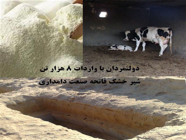 دولتمردان با واردات 8 هزار تن شیرخشک فاتحه صنعت دامداری را خواندند