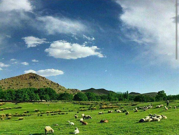 زیبایی های رابر از لنز دوربین شهروند خبرنگاران رابر
