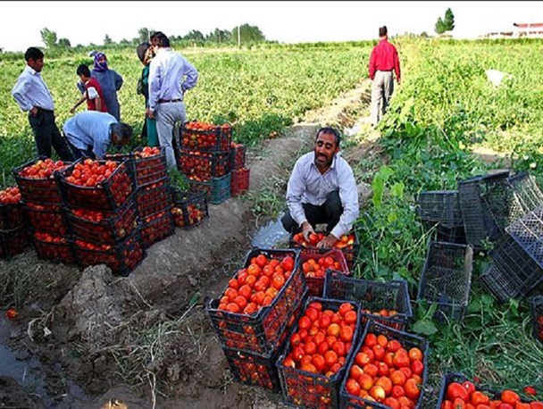 عدم وجود صنایع تبدیلی تیشه بر ریشه اقتصاد هرمزگان