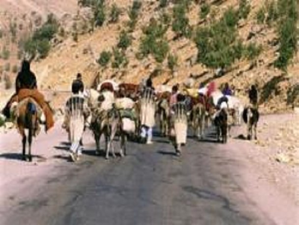 کوچ بهاره عشایر شهرستان ایوان آغاز شد