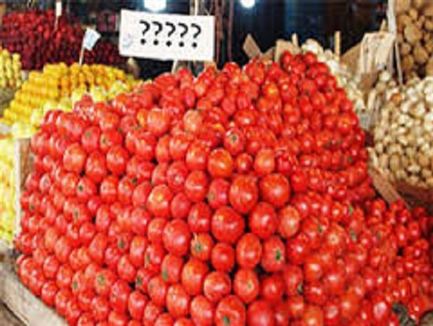 قیمت گوجه فرنگی تا ۲ هفته دیگر کاهش می‌یابد