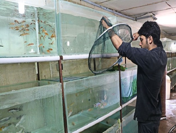 نرخ بالای سود تسهیلات بانکی مانع رونق تولید است/ حمایت کردن فقط به معنای ارائه وام نیست