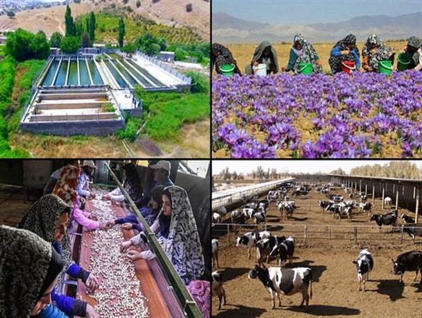 تسهیلات اشتغال روستایی صرف حفظ دامداری سنتی شد/ بودجه ۴۷۳ میلیارد تومانی هم نرخ بیکاری خراسان شمالی را تغییر نداد