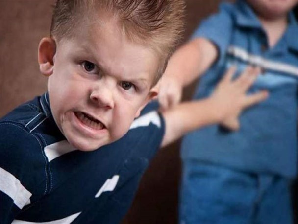 ​دوران کودکی؛ فرصت طلایی برای تربیت فرزند است/ الگوپذیری‌ از والدین‌؛ از دلایل‌ مهم‌ پرخاشگری‌