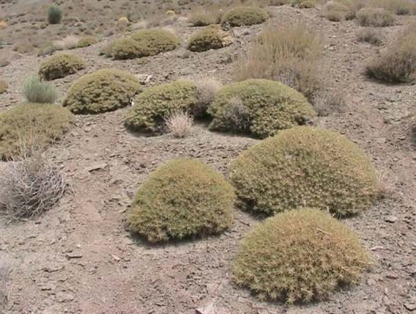 لزوم نوسازی ماشین آلات معدنی فرسوده در استان زنجان/ حفظ گون مانع بهره‌برداری از معادن می‌شود