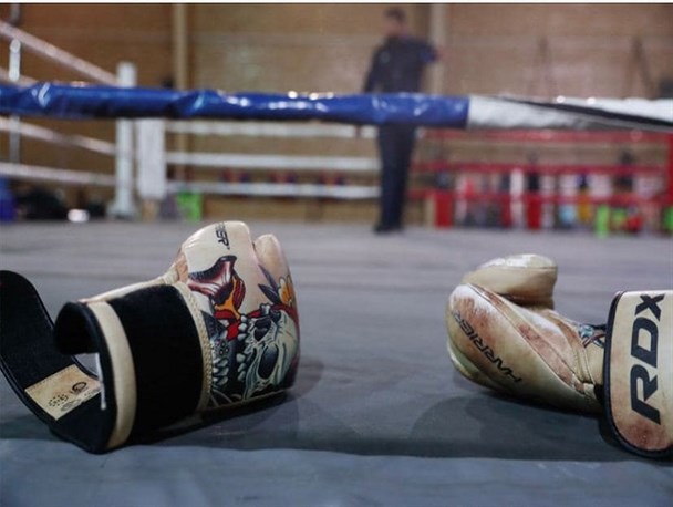 مدرسی: هیات‌های استانی بازوان توانمند هر فدراسیون هستند/ سرفصل‌هایی برای ارزیابی هیات‌های بوکس مشخص خواهیم کرد